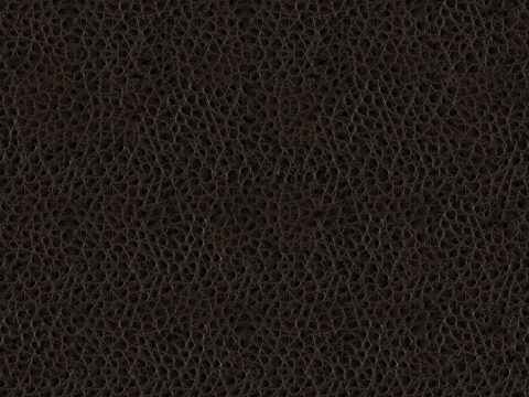 高清鳄鱼皮革贴图