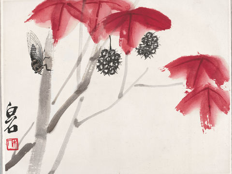 齐白石写意水墨画，近现代水墨画红叶秋蝉
