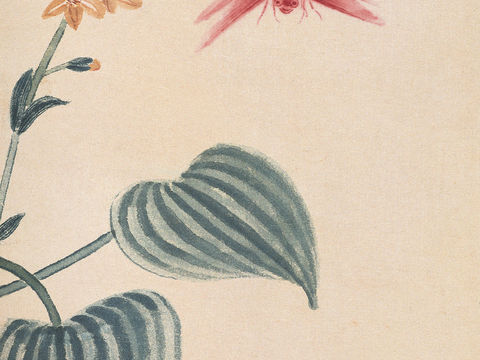  齐白石写意水墨画，近现代水墨画195 