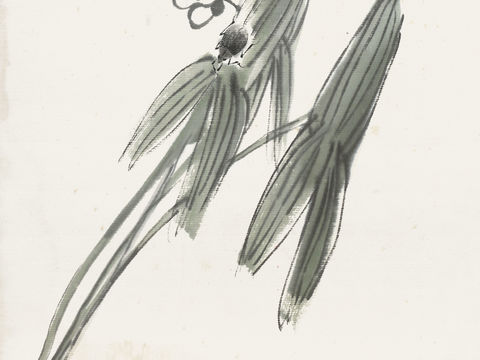 齐白石写意水墨画，近现代水墨画67 (2)