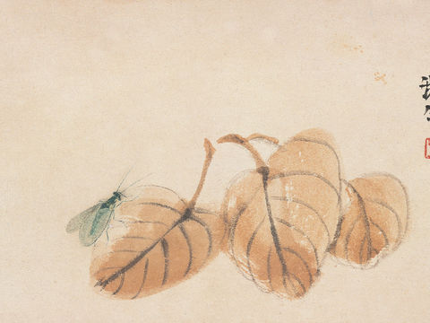  齐白石写意水墨画，近现代水墨画191 