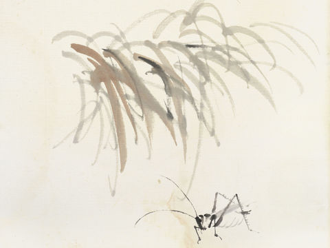  齐白石写意水墨画，近现代水墨画52 (2) 