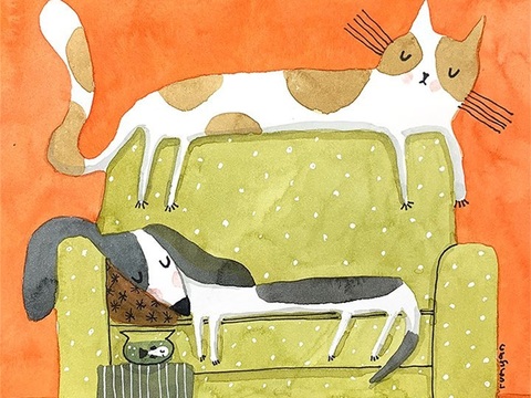  可爱动物手绘，创意童趣插画，猫咪动物插画，治愈系插画，可爱儿 