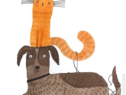  可爱动物手绘，创意童趣插画，猫咪动物插画，治愈系插画，可爱儿 