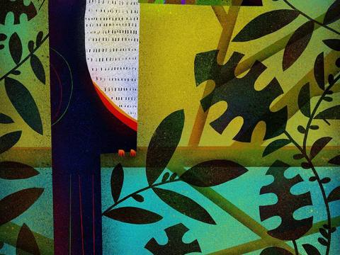  可爱动物手绘，创意童趣插画，猫咪动物插画，治愈系插画，可爱儿 