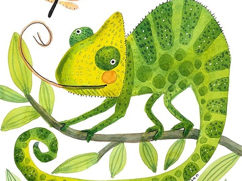  可爱动物手绘，创意童趣插画，猫咪动物插画，治愈系插画，可爱儿 