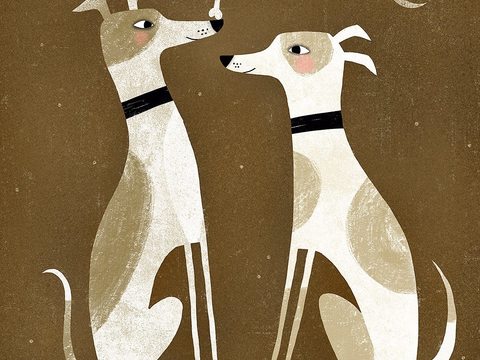  可爱动物手绘，创意童趣插画，猫咪动物插画，治愈系插画，可爱儿 