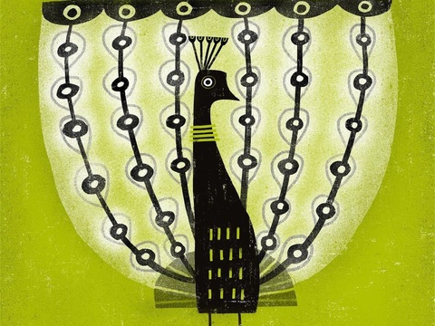  可爱动物手绘，创意童趣插画，猫咪动物插画，治愈系插画，可爱儿 