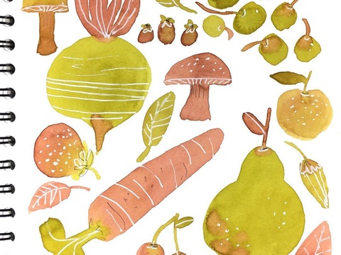 可爱动物手绘，创意童趣插画，猫咪动物插画，治愈系插画，可爱儿