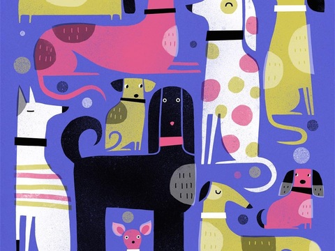  可爱动物手绘，创意童趣插画，猫咪动物插画，治愈系插画，可爱儿 