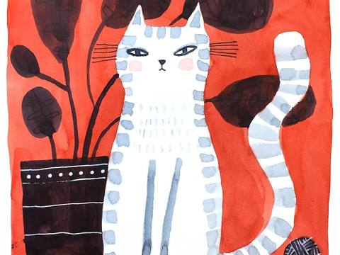  可爱动物手绘，创意童趣插画，猫咪动物插画，治愈系插画，可爱儿 