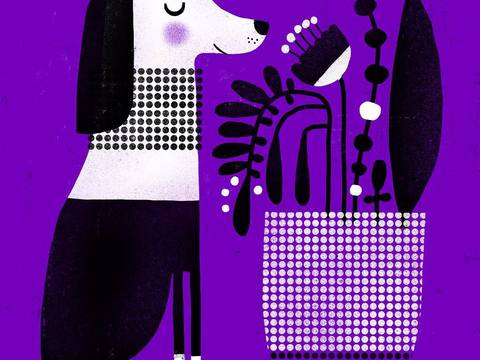  可爱动物手绘，创意童趣插画，猫咪动物插画，治愈系插画，可爱儿 