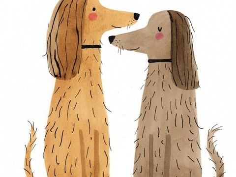  可爱动物手绘，创意童趣插画，猫咪动物插画，治愈系插画，可爱儿 