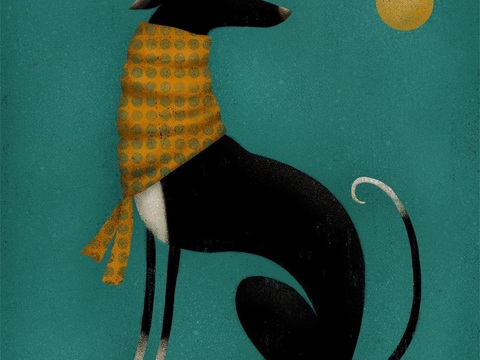 可爱动物手绘，创意童趣插画，猫咪动物插画，治愈系插画，可爱儿