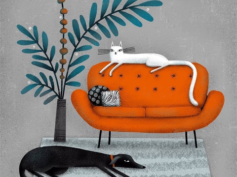  可爱动物手绘创意童趣插画猫咪动物插画治愈系插画可爱儿童插画 