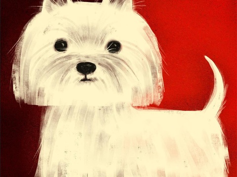  可爱动物手绘创意童趣插画猫咪动物插画治愈系插画可爱儿童插画 