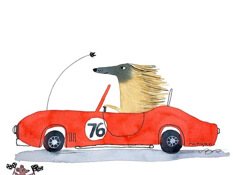  可爱动物手绘创意童趣插画猫咪动物插画治愈系插画可爱儿童插画 