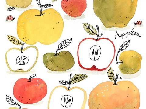  可爱动物手绘创意童趣插画猫咪动物插画治愈系插画可爱儿童插画 