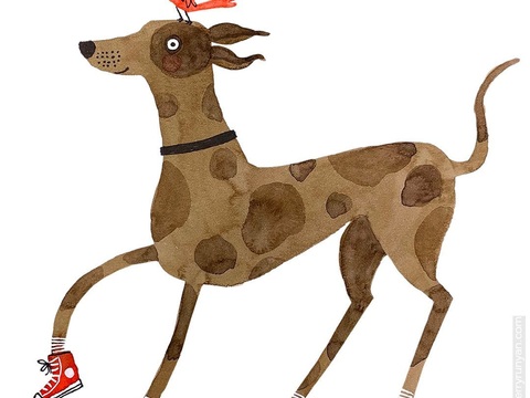  可爱动物手绘，创意童趣插画，猫咪动物插画，治愈系插画，可爱儿 