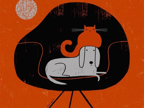  可爱动物手绘创意童趣插画猫咪动物插画治愈系插画可爱儿童插画 