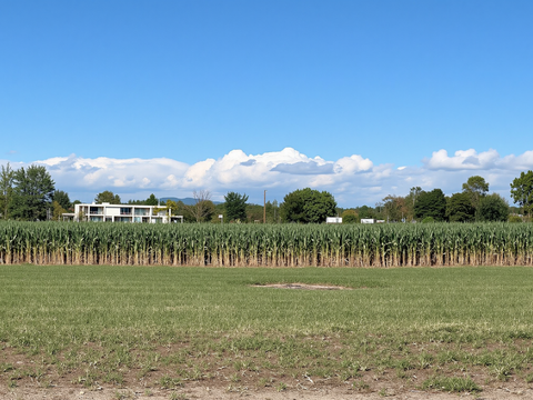  现代乡村风景 自然风景 晴天 