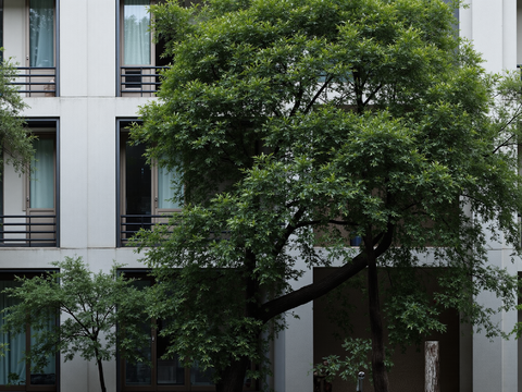 现代小区窗景，小区风景  简约窗景，高层居民楼窗景