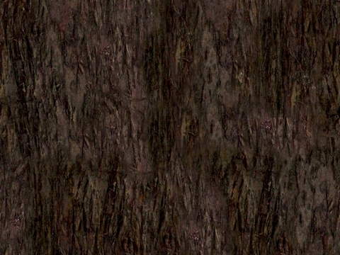 逼真自然树干表面材质