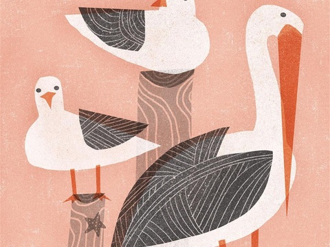  可爱动物手绘创意童趣插画猫咪动物插画治愈系插画可爱儿童插画 