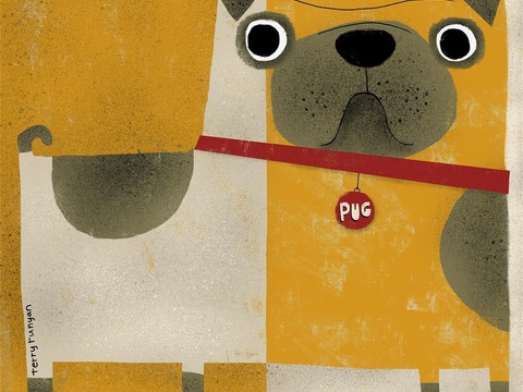  可爱动物手绘创意童趣插画猫咪动物插画治愈系插画可爱儿童插画 