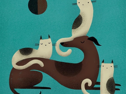  可爱动物手绘创意童趣插画猫咪动物插画治愈系插画可爱儿童插画 