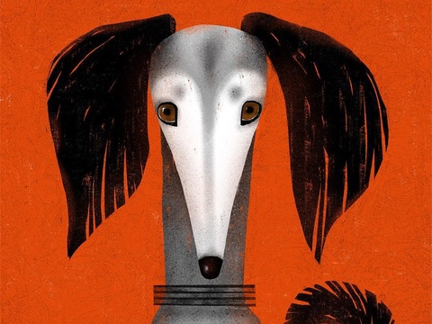  可爱动物手绘创意童趣插画猫咪动物插画治愈系插画可爱儿童插画 