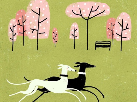  可爱动物手绘创意童趣插画猫咪动物插画治愈系插画可爱儿童插画 