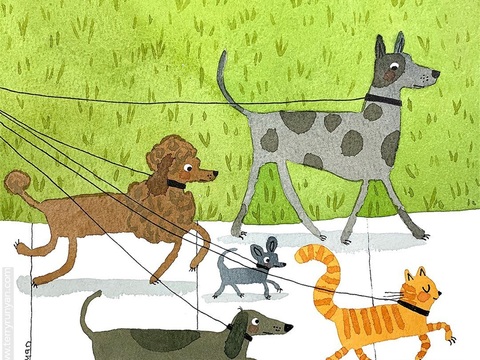  可爱动物手绘创意童趣插画猫咪动物插画治愈系插画可爱儿童插画 