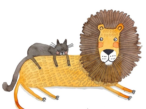  可爱动物手绘创意童趣插画猫咪动物插画治愈系插画可爱儿童插画 