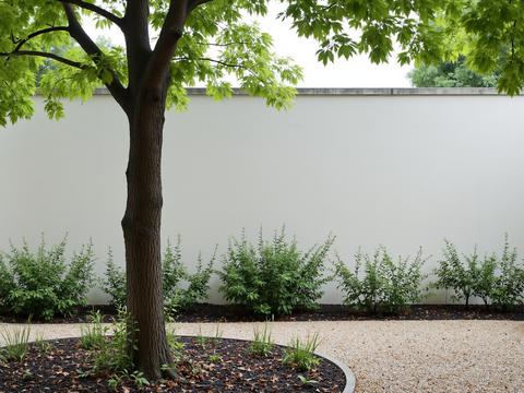  一楼小院外景 窗景 庭院 