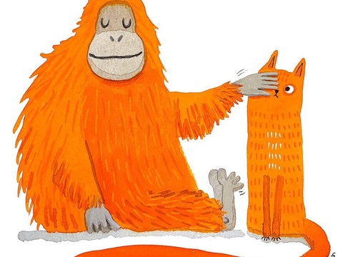  可爱动物手绘创意童趣插画猫咪动物插画治愈系插画可爱儿童插画 