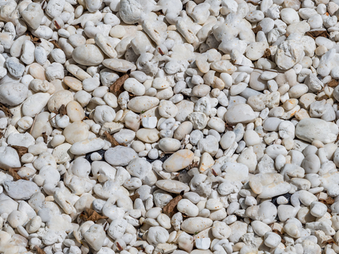 白色鹅卵石贴图19
