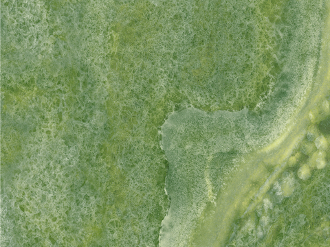 马可波罗 大理石 瓷砖 金玉满堂 绿色岩板