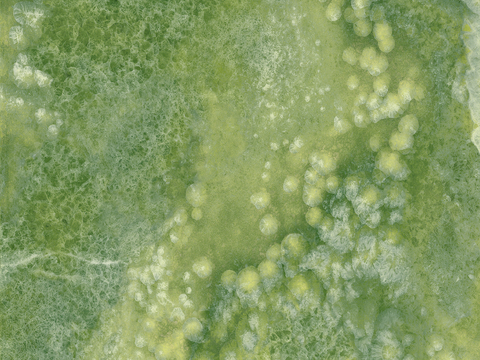 马可波罗 大理石 瓷砖 金玉满堂 绿色岩板