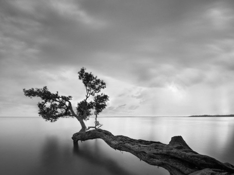  黑白摄影装饰画 