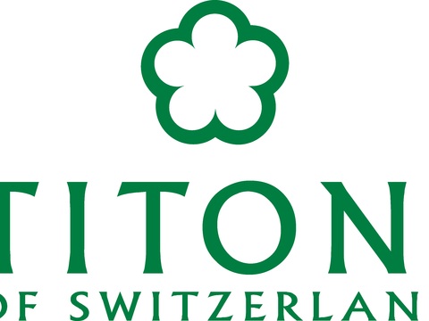 梅花，世界名表logo