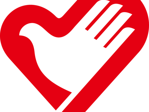  中国青年志愿者，国企央企logo 