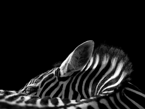 黑白摄影装饰画