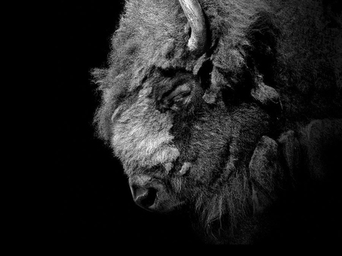 黑白摄影装饰画