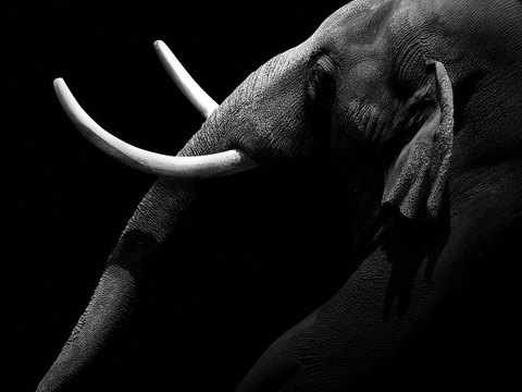 黑白摄影装饰画