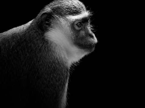 黑白摄影装饰画