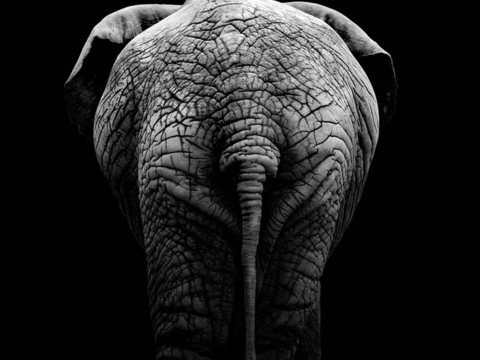 黑白摄影装饰画