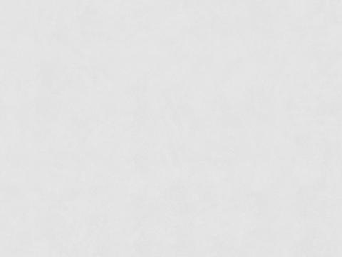  浅灰色肌理艺术漆 