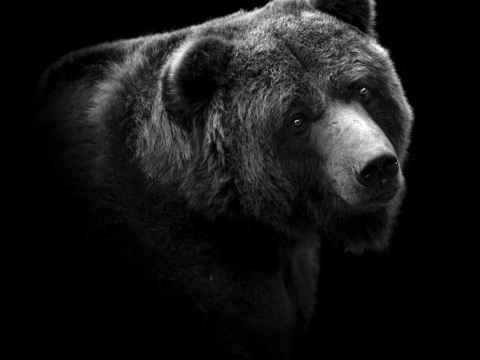 黑白摄影装饰画