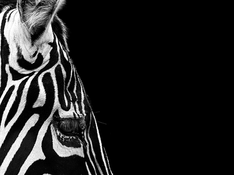 黑白摄影装饰画